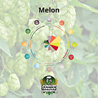 Lupulo100gr Huell Melon Lupulo100gr Huell Melon